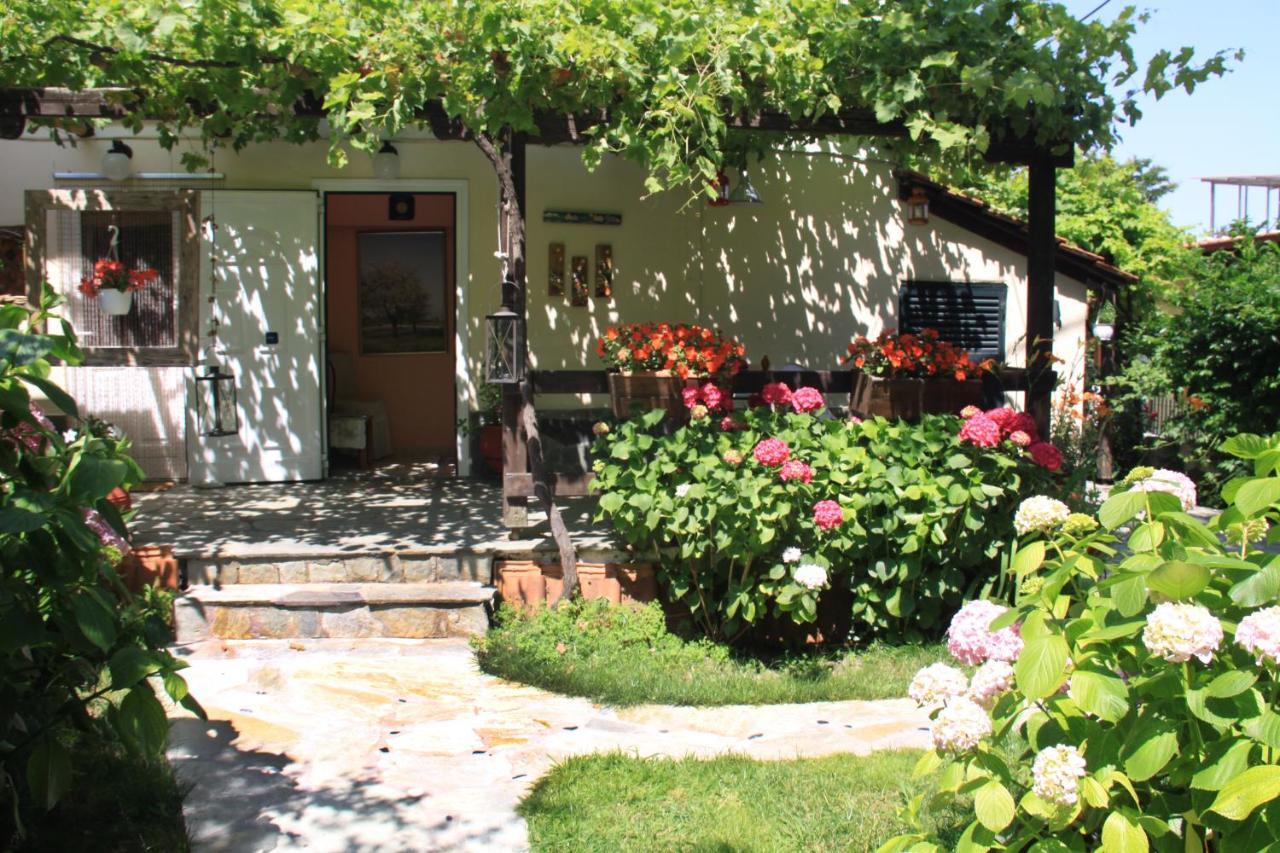 Fasoli Studios Paralia Panteleimonos Exterior photo