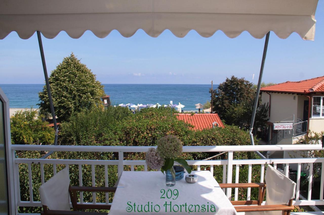 Fasoli Studios Paralia Panteleimonos Exterior photo